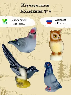 ПТИЦЫ для ДЕТЕЙ 1 часть ] с ГОЛОСАМИ. Развивающие ВИДЕО про птиц для детей  в HD - YouTube