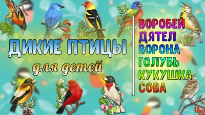 Задания для детей 4-5 лет ассоциации «Избушка» на тему «Перелётные птицы»  1.Объясните ребёнку ,что прилёт птиц –одна из примет весны.Выучите с ним  названия перелётных птиц : грач, скворец,ласточка,журавль,аист.Ребенок  должен произносить чётко эти