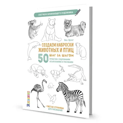 Создаем наброски животных и птиц шаг за шагом. Скетчбук начинающего  художника — купить в издательстве «Контэнт»