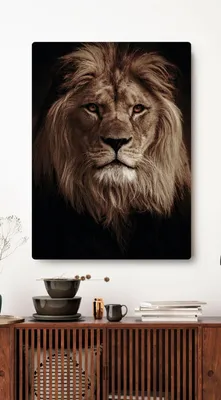 Самое красивое животное лев - 71 фото