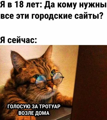 Мы все заслуживаем сострадания, а голуби — особенно» Самые трогательные и  смешные истории 2021 года о людях и животных: Люди: Из жизни: Lenta.ru