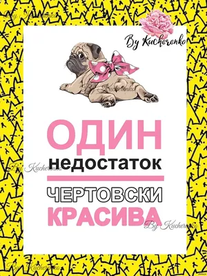 Дрессированный кот Вася, смешные видео с котами, кот говорит «мяу» - 29 мая  2022 - НГС