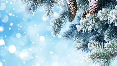 Картинки зима новый год на весь экран фотографии