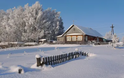 Хорошо зимой в деревне!