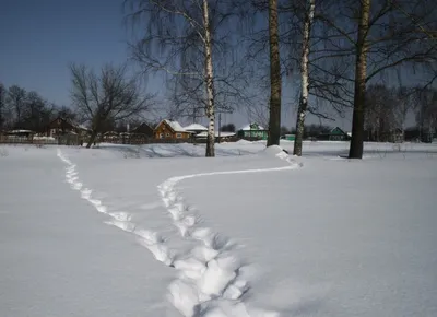 Зима в белорусской деревне. Photographer Pavel Pomoleyko