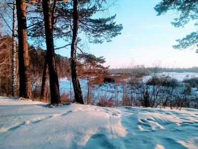 Рисунок Зима в лесу №78168 - «Зимняя сказка» (28.12.2023 - 01:35)