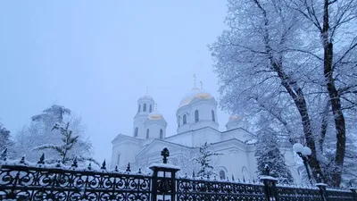 Зима в марте | Александр Ковалев | Дзен