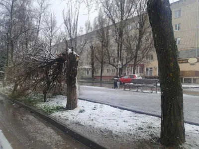 Москву в выходные завалит снегом: в марте сугробы будут выше, чем зимой -  KP.RU