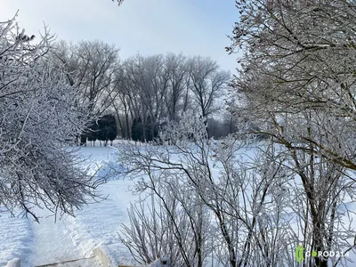 Снег в Киеве 12 марта 2021 - фото и видео - новости Киева - Апостроф