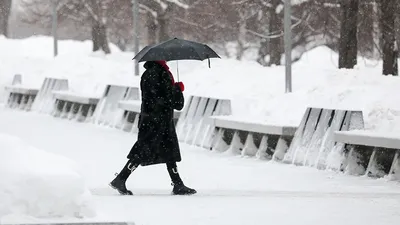 Зима возвращается? Снег в Беларуси будет идти в течение дня 28 марта