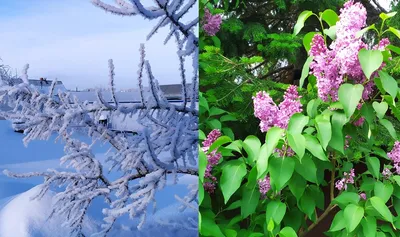 Зима-Весна в коттеджном поселке Белый Берег, фото