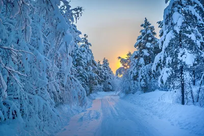 Зимняя дорога. / фото