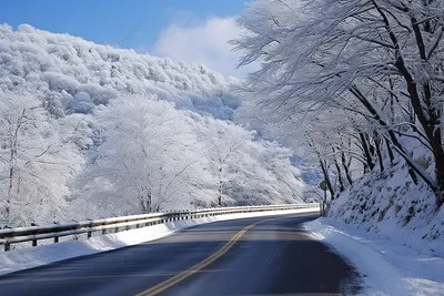 Зимняя дорога картинка