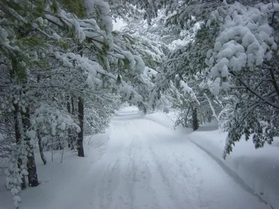 показана зимняя дорога со снегом, Канвондо, зима, высокое разрешение фон  картинки и Фото для бесплатной загрузки