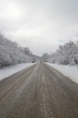 Фотография Зимняя дорога №164982 - «Зимняя сказка» (29.12.2023 - 09:29)