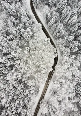 Зимняя дорога» — создано в Шедевруме