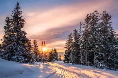 Зимняя Дорога — стоковые фотографии и другие картинки Без людей - Без  людей, Время года, Горизонтальный - iStock