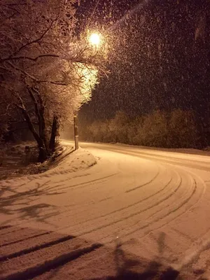 Зимняя дорога - фото автора Hornet на сайте Сергиев.ru