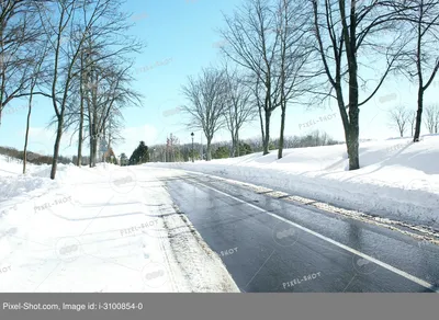 зимняя дорога в лесу стоковое фото. изображение насчитывающей природа -  284771548
