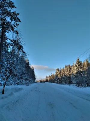 Зимняя дорога. — Skoda Kodiaq, 2 л, 2019 года | фотография | DRIVE2