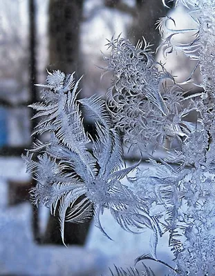 Зимние узоры на окнах. Фотоподборка