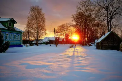 Зимний пейзаж» картина Тикуновой Ольги маслом на холсте — купить на  ArtNow.ru