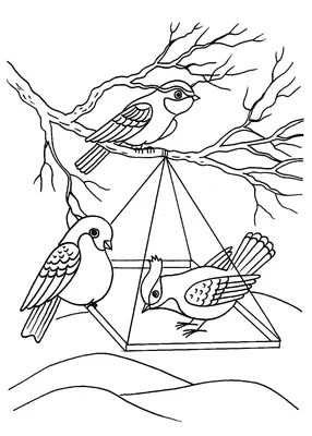 Книжка-малышка для эстетического восприятия и раскрашивания «Зимующие птицы»  (27 фото). Воспитателям детских садов, школьным учителям и педагогам -  Маам.ру