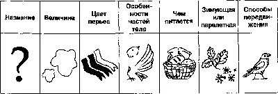 Зимующие птицы: стихи, раскраски, кроссворд