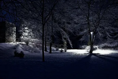 Зима ночь - фото и картинки: 63 штук