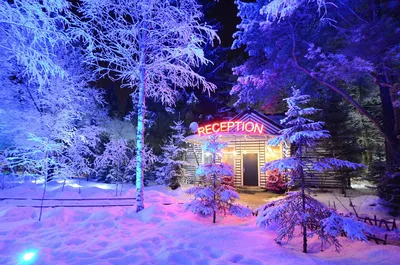 Улица ночь фонари зима снегопад …» — создано в Шедевруме