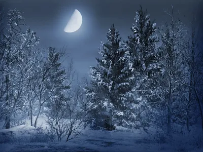 зимой...ночью..в горах...все в снегу) :: Ирина – Социальная сеть ФотоКто