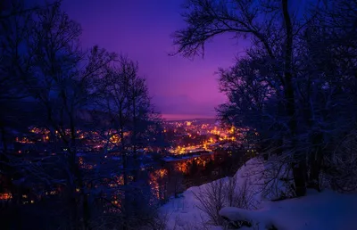 Зима, очень сильный мороз, ночь, …» — создано в Шедевруме