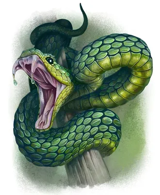 Рисунок животное змея художник | Артбуки, Вдохновляющее искусство, Блокноты  для эскизов