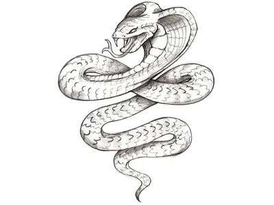 Детский рисунок змеи - 79 фото
