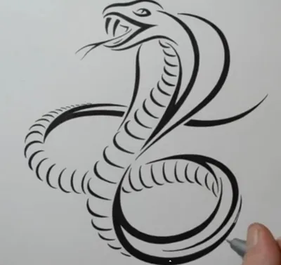 Питон в стиле винтажа Змея змеи-змеи-змеи-змеи-змеи Награвированный рисунок  из старой рептилии для татуировки, наклейки или Иллюстрация вектора -  иллюстрации насчитывающей чертеж, художничества: 164494049