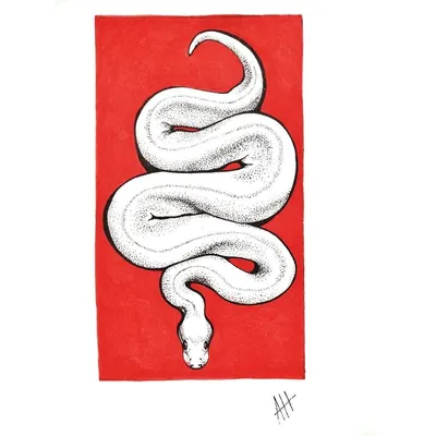 Рисунки змеи для срисовки (20 лучших фото)