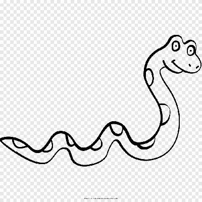 Мимимишные змеи | Пикабу