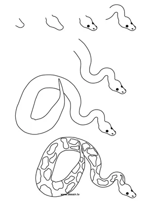 Контурный рисунок змея (59 фото) » Рисунки для срисовки и не только