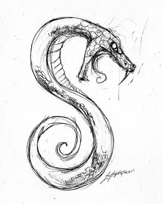 Иллюстрация Рисунок змеи с узором в стиле другое | Illustrators.ru