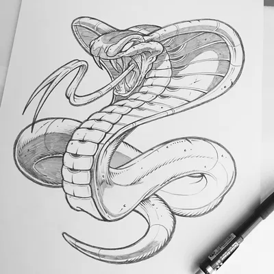 кобра арт, змея рисунок рептилия, змея, животные, сердце, монохромный png |  PNGWing