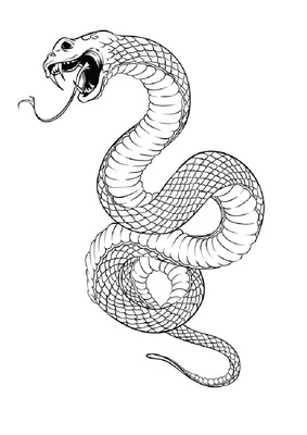 Рисунок змей. Чёрный змей, изолированный на белой ба Векторное изображение  ©goldenshrimp 272708400