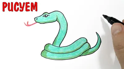 Рисунки для срисовки змеи - 77 фото