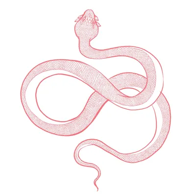 Картинки змей для срисовки карандашом
