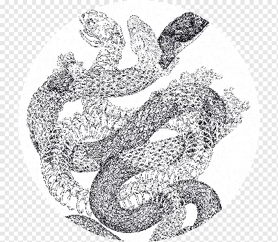 Рисунки Змея — Стихи, картинки и любовь