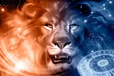 Статьи » Цветок знака зодиака Лев