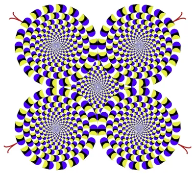 Во власти иллюзий: 5 способов, которыми мозг обманывает зрение | Вокруг  Света