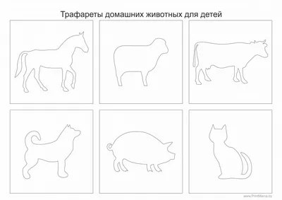 Цветные картинки диких животных для детей дошкольного возраста — Природа  Мира