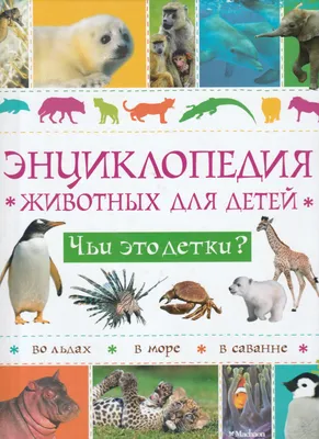 Звери Южной Америки Образовательный Плакат Для Детей Ягуар Лама Страус  Муравьеда Акула Обезьяна Черепаха Попугай Образование Дети — стоковая  векторная графика и другие изображения на тему Животное - iStock