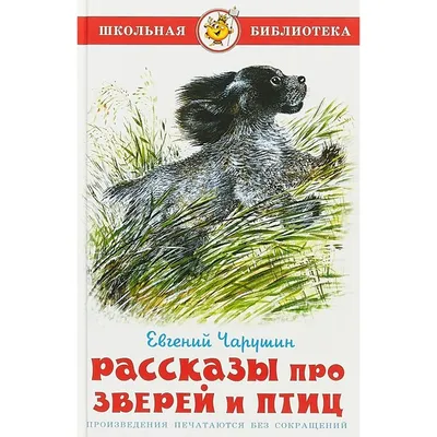 Жителям ЯНАО рассказали, можно ли забирать домой диких зверей и птиц |  «Красный Север»