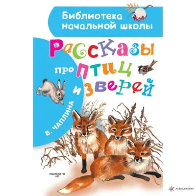 Набор следов животных и птиц Коллекция серебряных следов диких животных  Иллюстрация вектора для Иллюстрация вектора - иллюстрации насчитывающей  любимчик, черный: 159011616